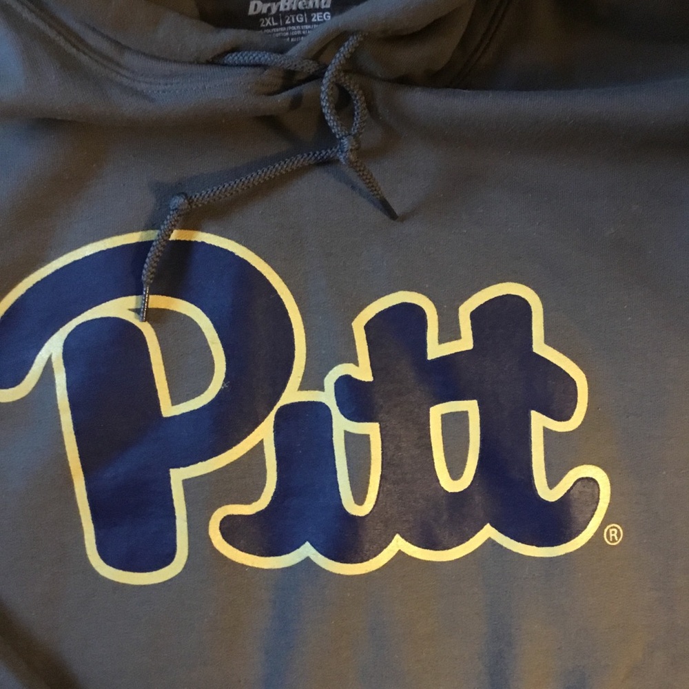 Gildan Pitt Hoodie Sweatshirt Gray XXL - Picture 2 of 3